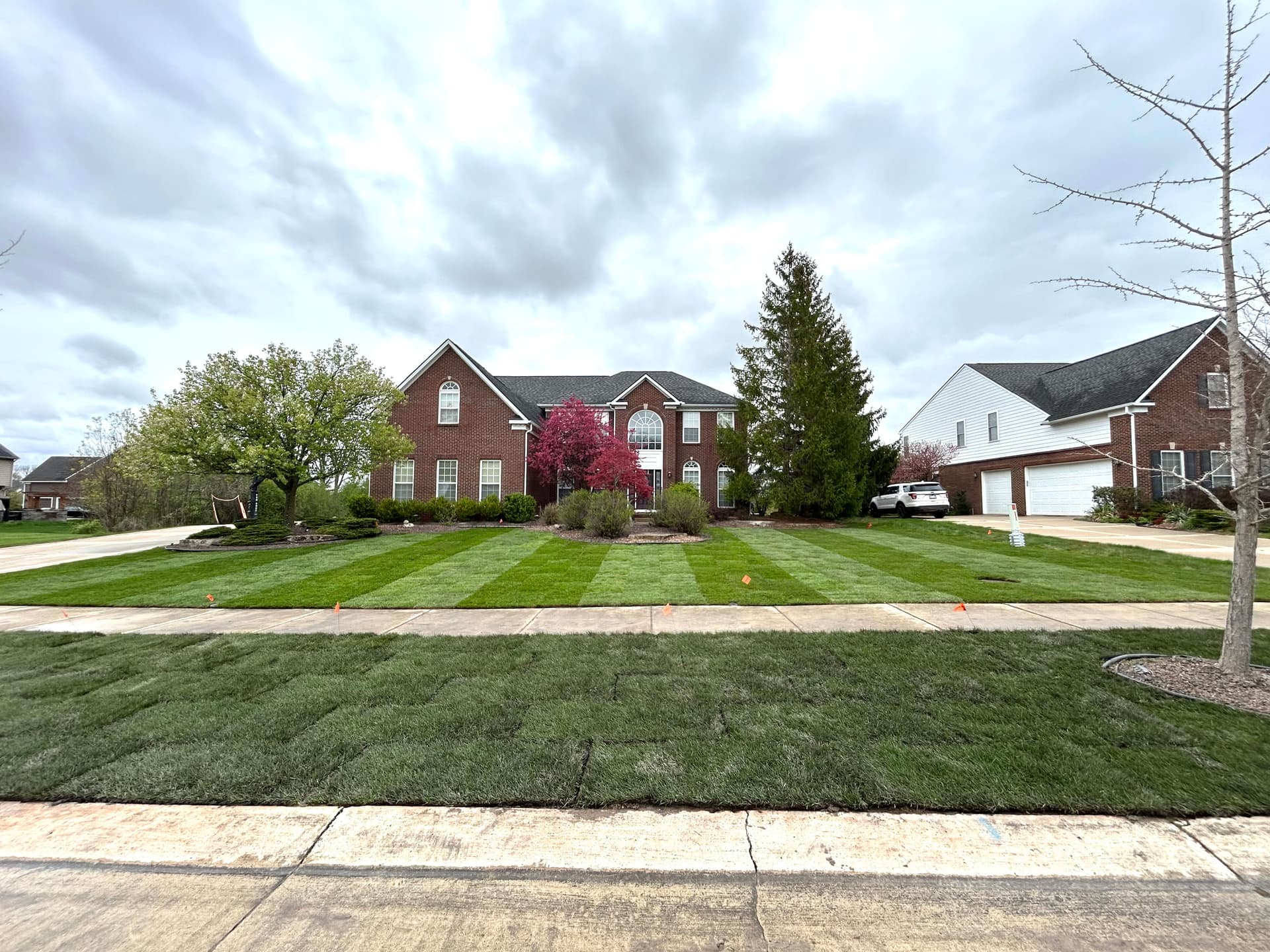 Fresh Grade and New Sod Gives This Lawn a Clean Reset image