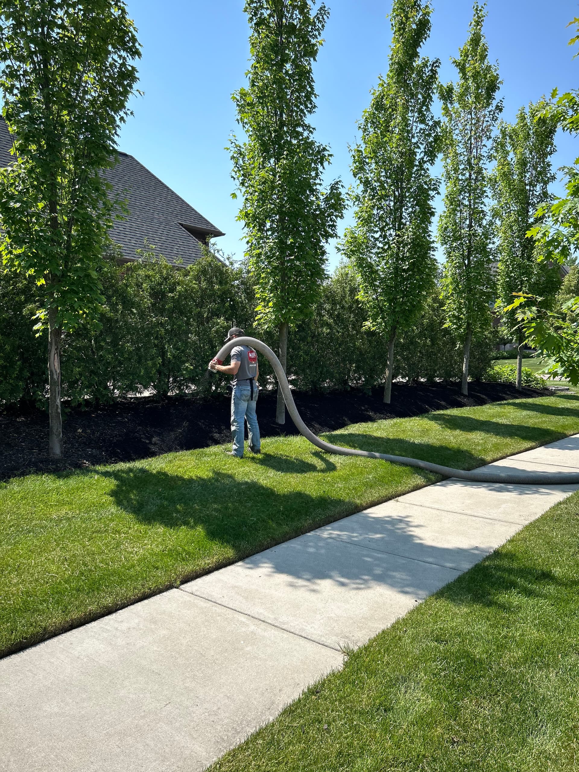 Revitalize Your Garden Beds with Fresh Mulch image