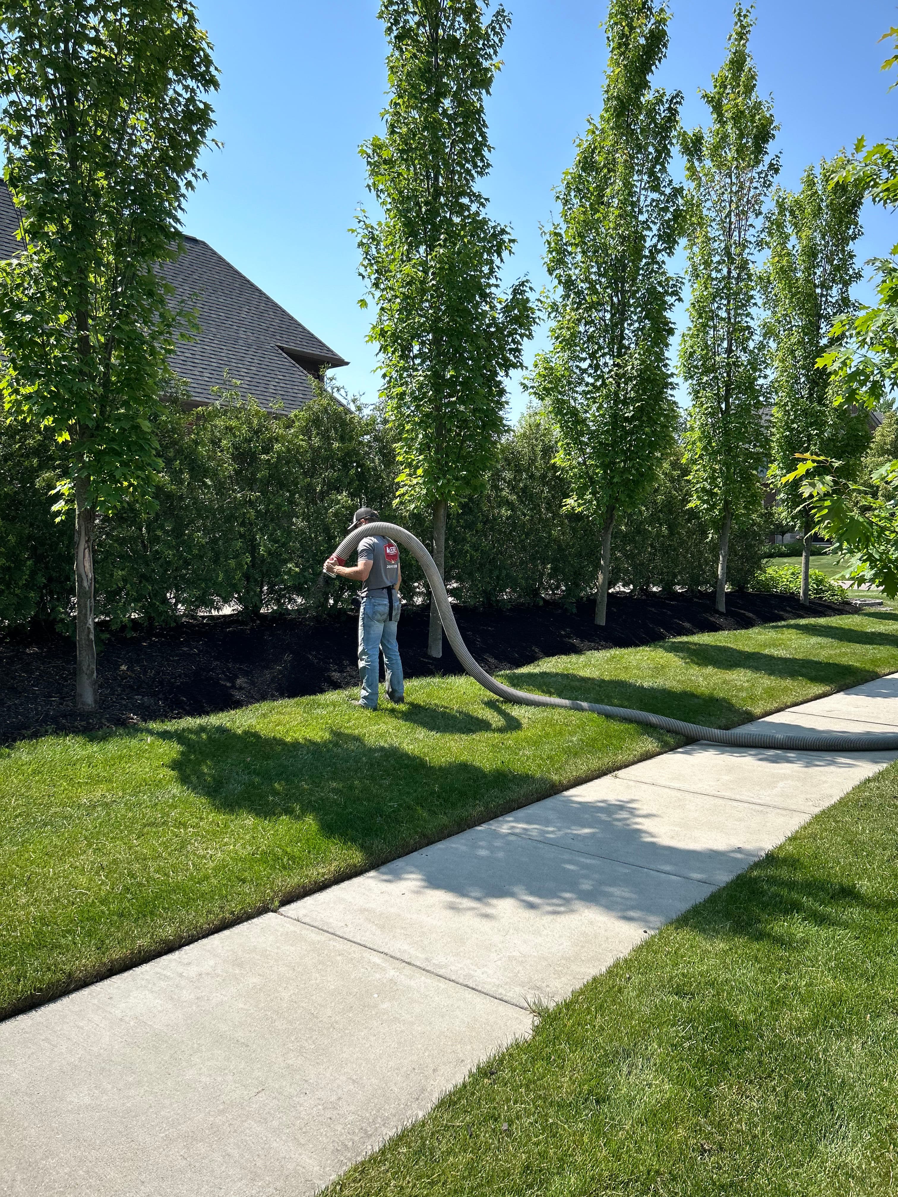 Project Revitalize Your Garden Beds with Fresh Mulch image