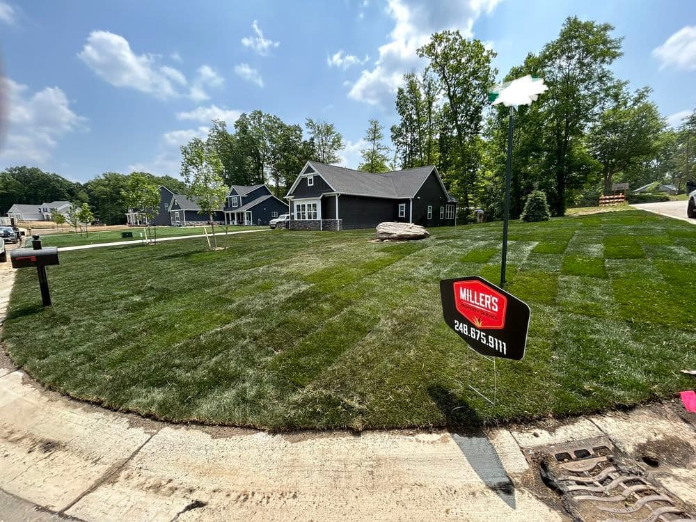 Transforming Outdoor Spaces 