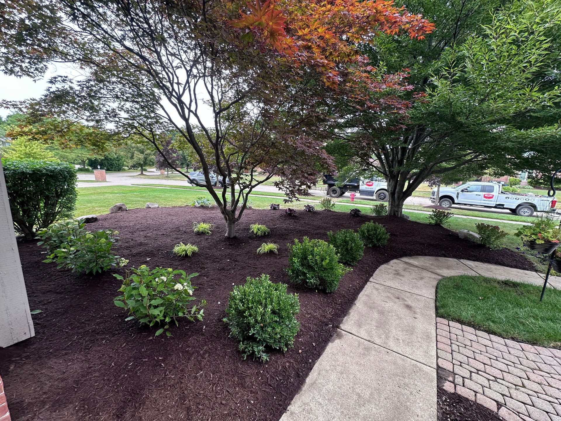 Gallery photos for Lava Rock Out, Fresh Plants and Mulch In - Canton MI: Image #1