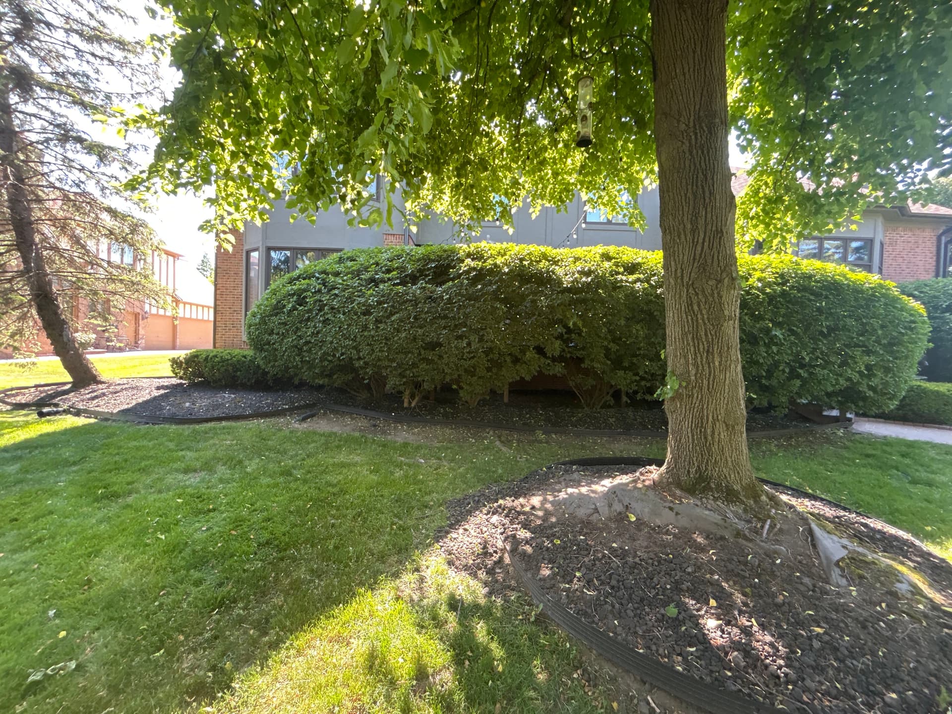 Gallery photos for Backyard Overhaul with Pavers, Retaining Walls, and Full Landscape Install: Image #1