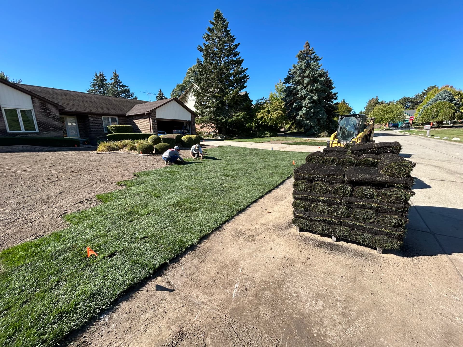 Gallery photos for Full Lawn Tearout Grading and Sod Install in Farmington Hills: Image #1