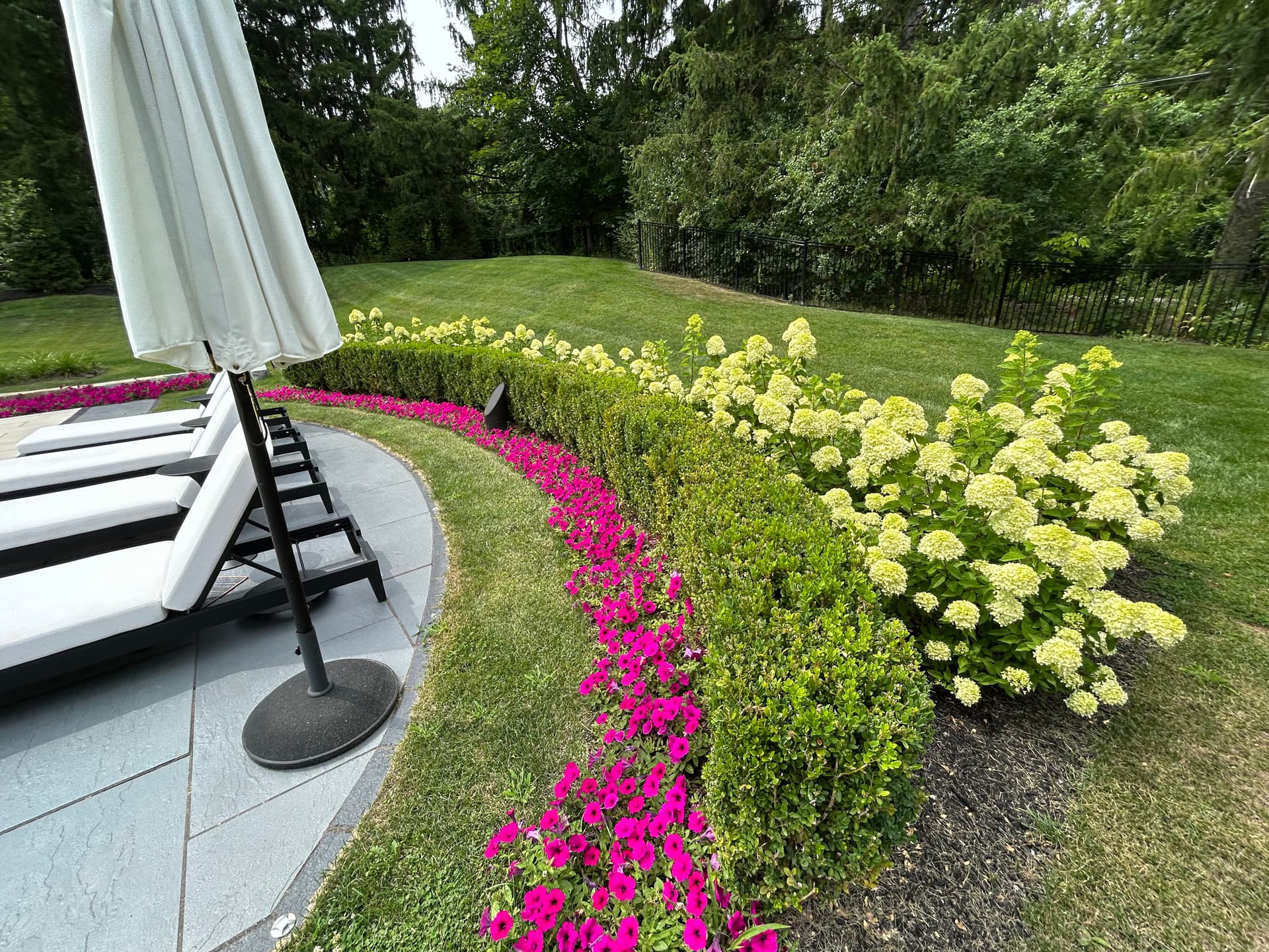 How Regular Landscape Maintenance Keeps Your Property Looking This Good image