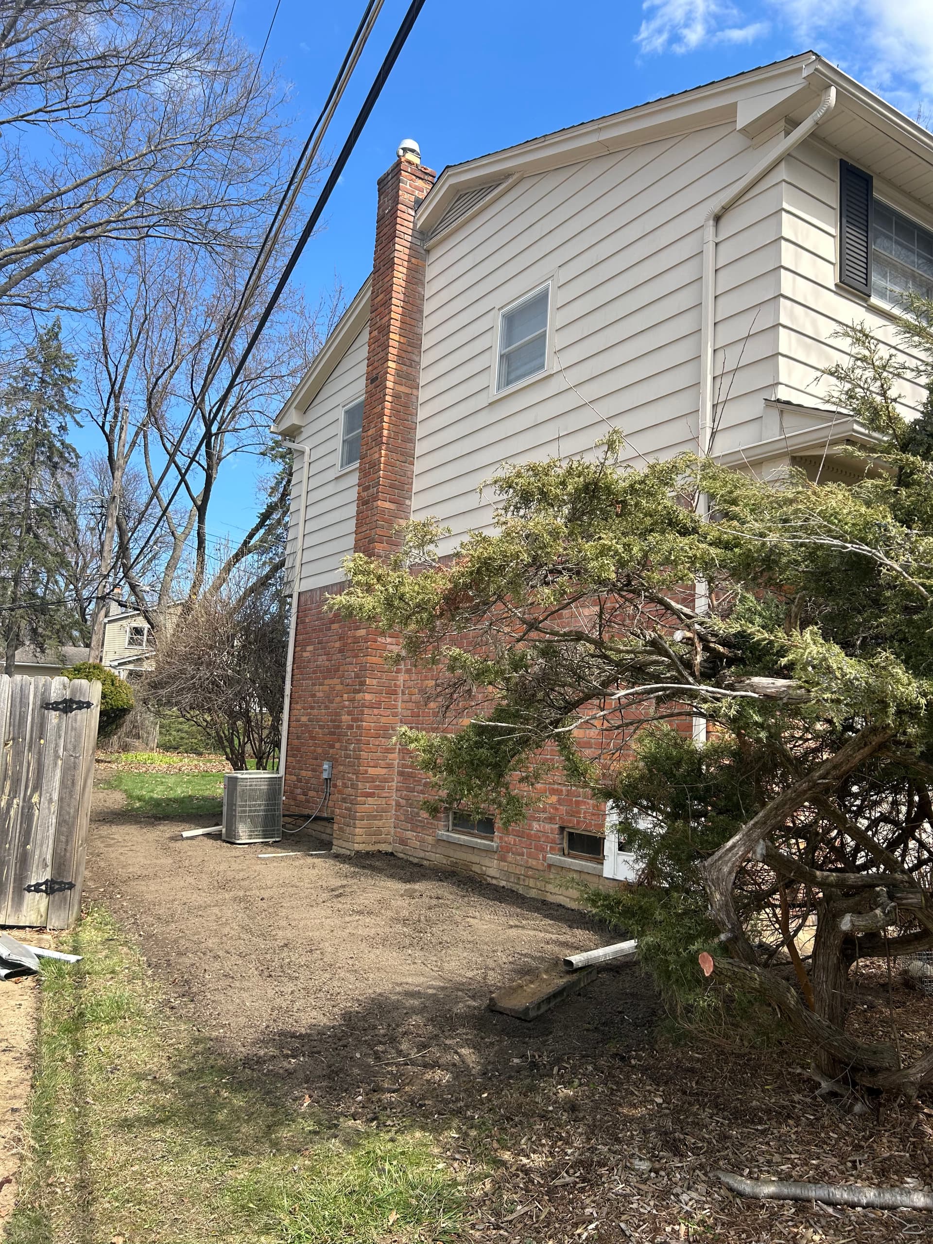 Gallery photos for Overgrown Bush Removal and Grading Done Right: Image #1