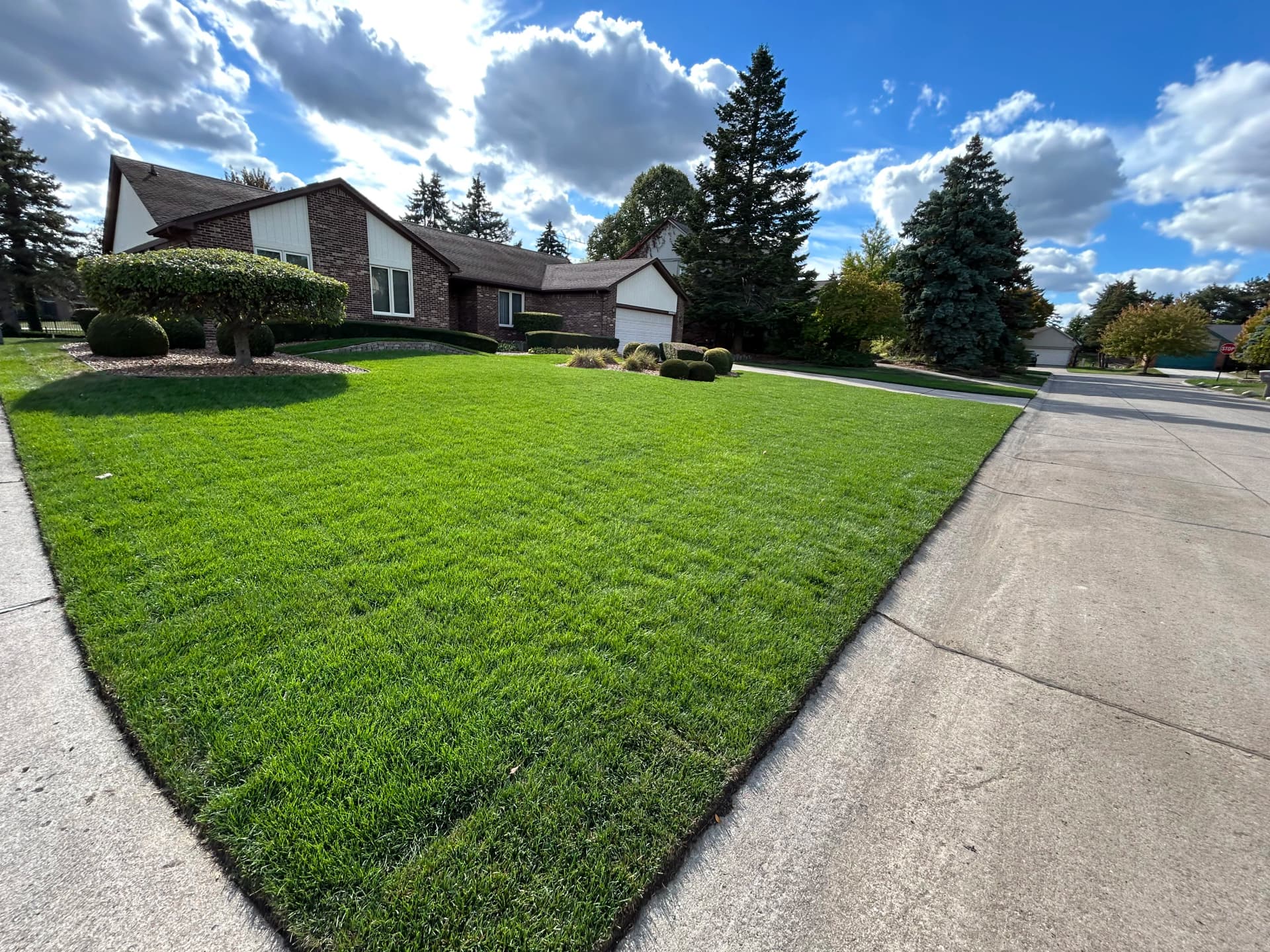 Gallery photos for Full Lawn Tearout Grading and Sod Install in Farmington Hills: Image #2